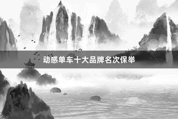 动感单车十大品牌名次保举